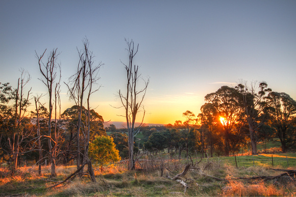 Dead Trees at Dusk - Highlands Victoria Australia